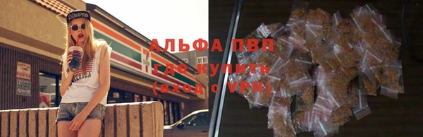 гидра Покровск