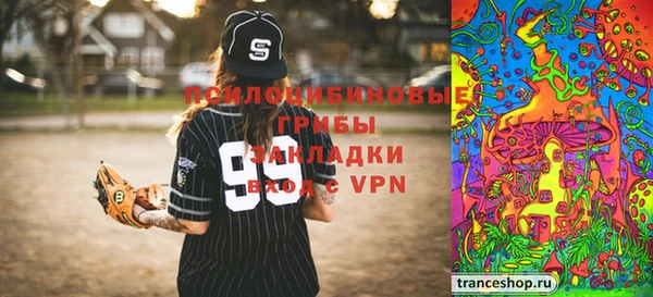 гидра Покровск
