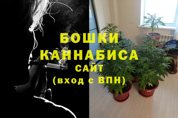 твердый Покачи