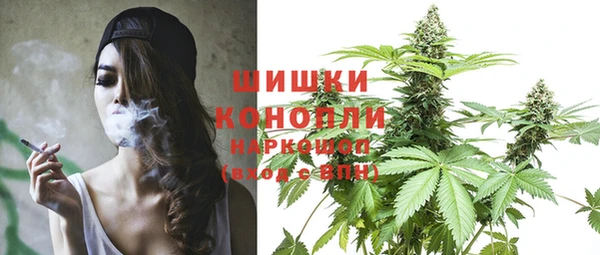 гидра Покровск