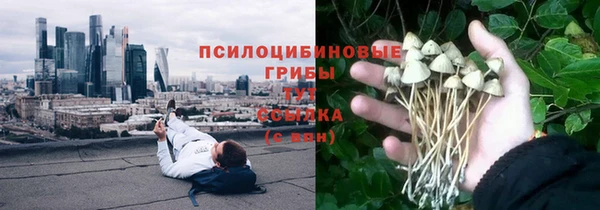 гидра Покровск