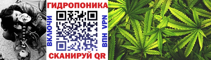 Канабис семена  Суоярви 